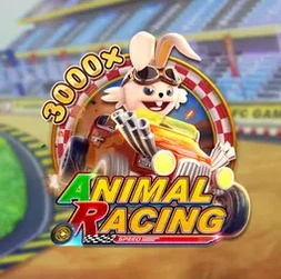 Animal Racing