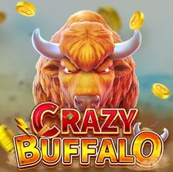 Crazy Buffalo