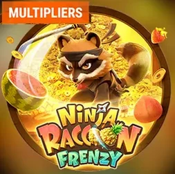 Ninja Raccoon Frenzy