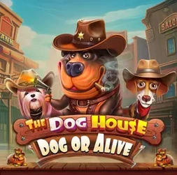 The Dog House – Dog or Alive